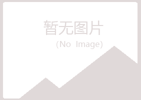 白银平川原来金融有限公司